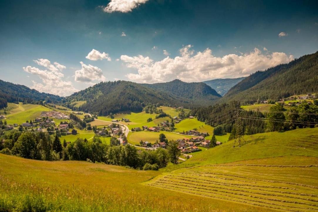 Apartmán Erblehenhof Forstau  Exteriér fotografie