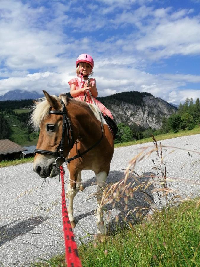 Apartmán Erblehenhof Forstau  Exteriér fotografie
