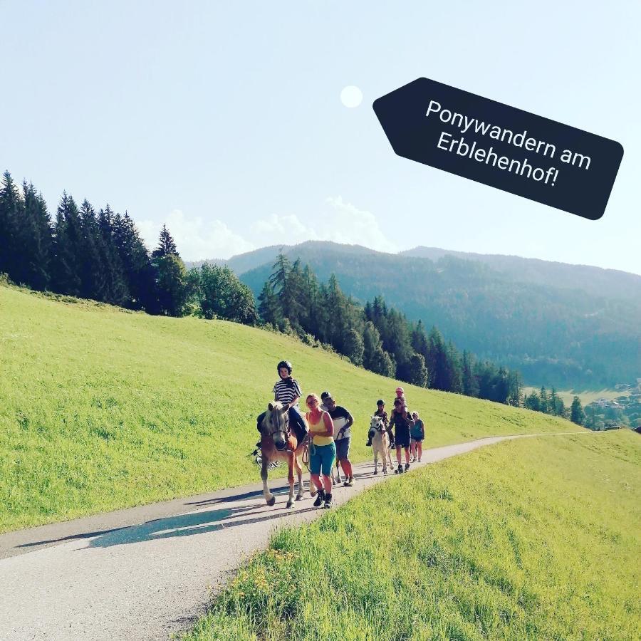 Apartmán Erblehenhof Forstau  Exteriér fotografie